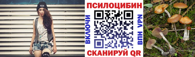 где найти наркотики Пошехонье Псилоцибиновые грибы мухоморы